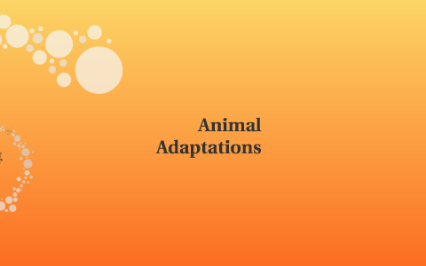 Human Adaptations by Christian Moore