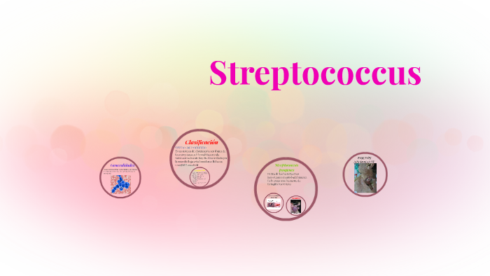 streptococcus by Jaquelin Ortega on Prezi