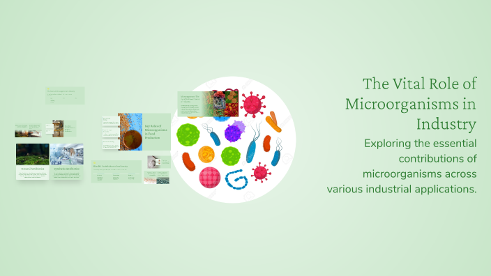 Microorganisms In Industry The Vital Role of Microorganisms in Industry by Gisel Lans Cuesta on Prezi