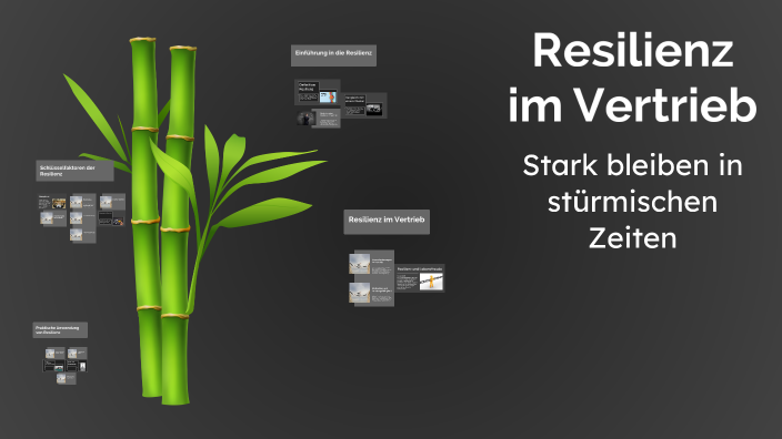 Resilienz im Vertrieb by Philip Rosenbaum on Prezi