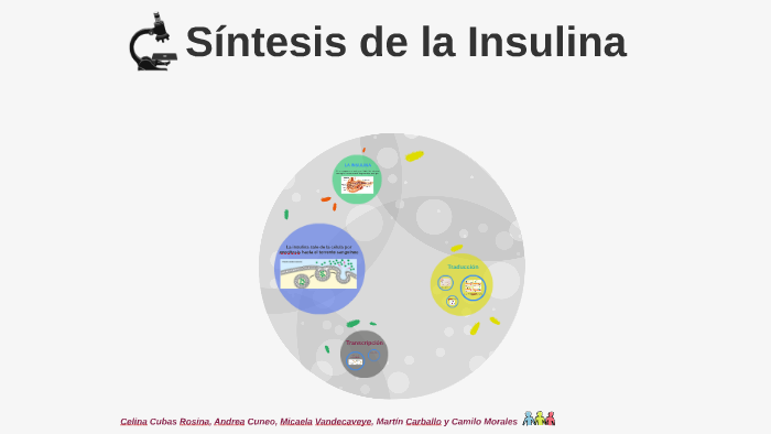 Síntesis de la Insulina by Celina Cubas on Prezi