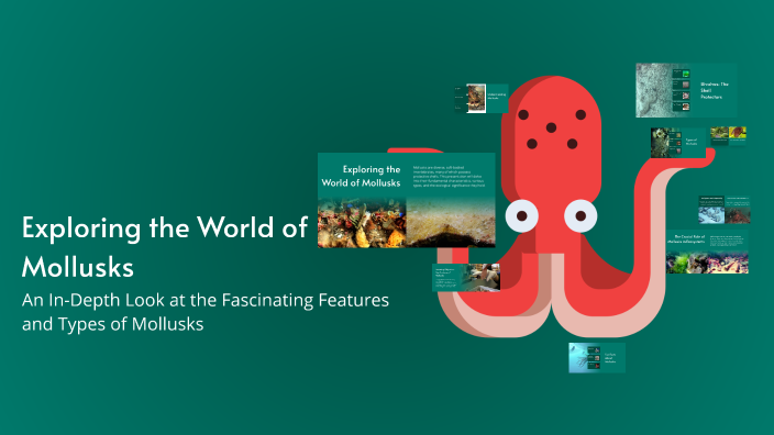 Exploring the World of Mollusks by Hino Brians on Prezi