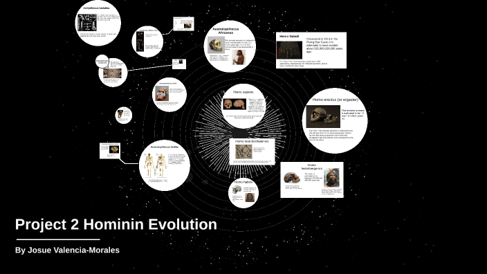 Project 2 Hominin Evolution by Josue Valencia on Prezi