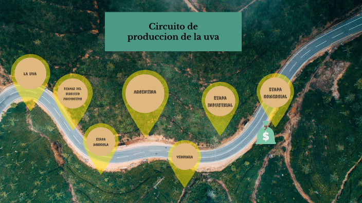 Circuito de produccion de la uva by Celes Da Luz