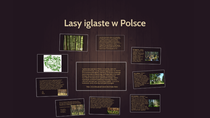 Lasy iglaste w Polsce by Patryk Orłowski on Prezi