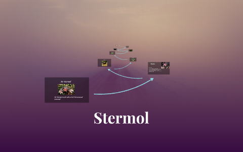 Stermol Stermol Mieke by on Prezi