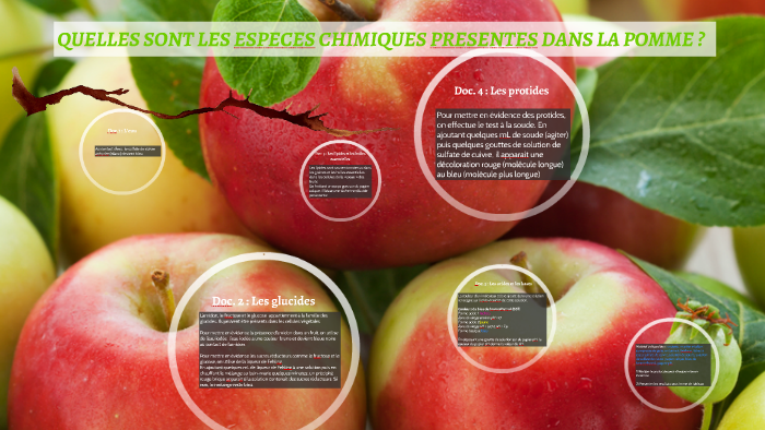 QUELLES SONT LES ESPECES CHIMIQUES PRESENTES DANS LA POMME ? by Hina PUTOA