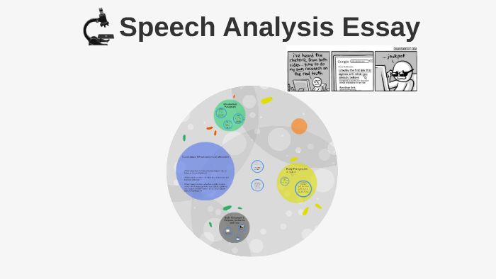 speech analysis essay sample