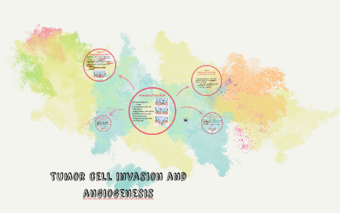 Tumor cell invasion and angiogenesis by Morgan Manasa on Prezi