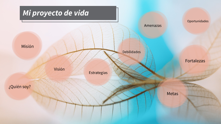 PROYECTO DE VIDA by ALLISON YULIETH VILLCA VELASQUEZ on Prezi