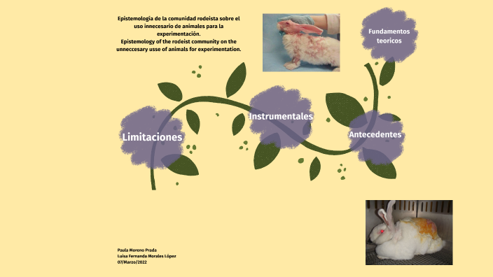 Presentación Proyecto de Grado by Paula Moreno on Prezi