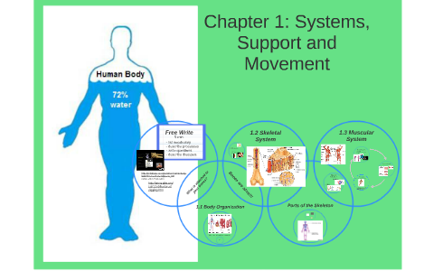 Chapter 1: Systems, Support And Movement By Samantha Figg