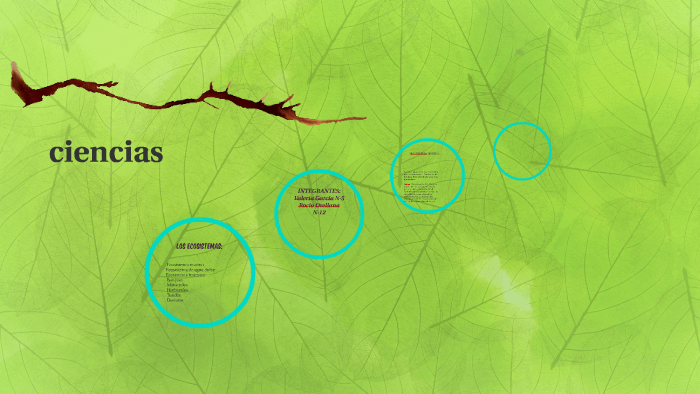los ecosistemas by Rocio Orellana on Prezi