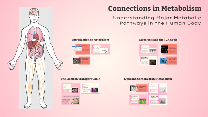 Biochemistry Final Project by Jasmine Deans on Prezi
