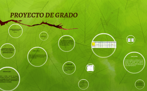 PROYECTO DE GRADO by brayan martinez on Prezi