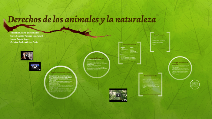 Derechos de los animales y la naturaleza by Valentina Marin on Prezi