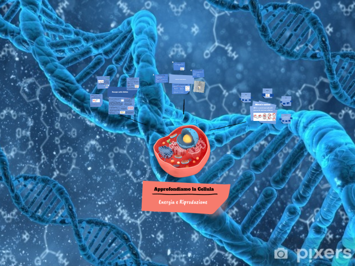 Approfondimento della Cellula by Daniele Negri on Prezi