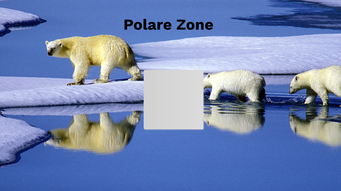 polare-zone-by-julia-k