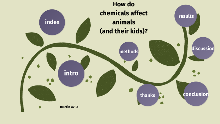 how-do-chemicals-affect-animals-and-their-kids-by-martin-avila