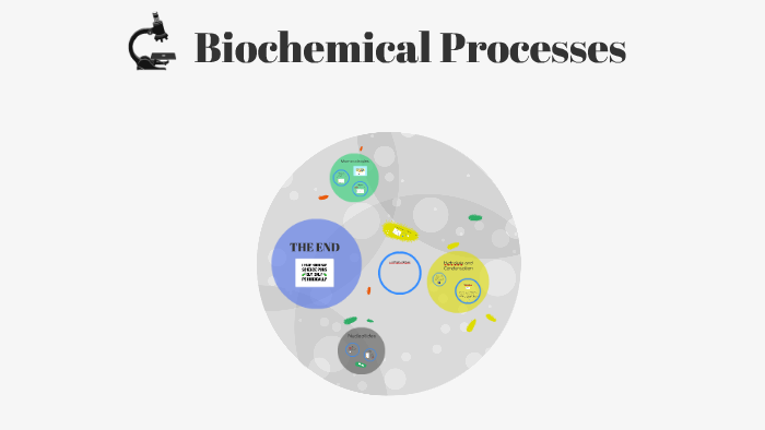 Biochemical Processes by Liz Edwards on Prezi