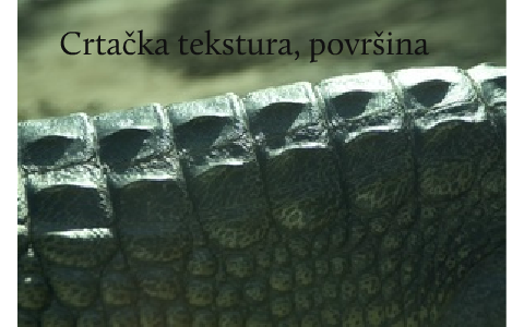 Crtačka tekstura, površina by Mario Gavran on Prezi