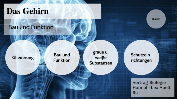 Schützen Sie Ihr Gehirn Diese Pflanze Reinigt Das Gehirn Und Schützt Vor Alzheimer - f88kigh