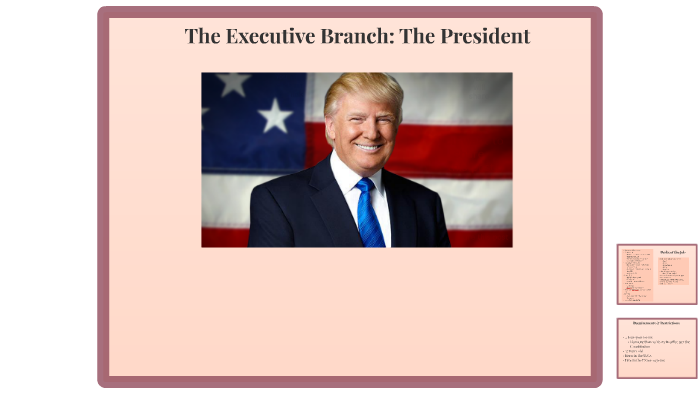 as head of the executive branch the president controls about