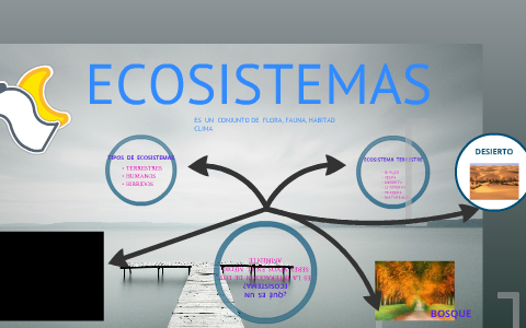 ECOSISTEMA by ALEXANDRA PEREZ CARDENAS on Prezi