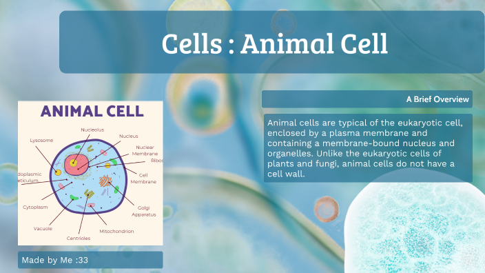 Animal Cell by Amerie Baldwin on Prezi