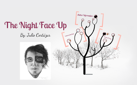 the night face up by julio cortazar questions and answers