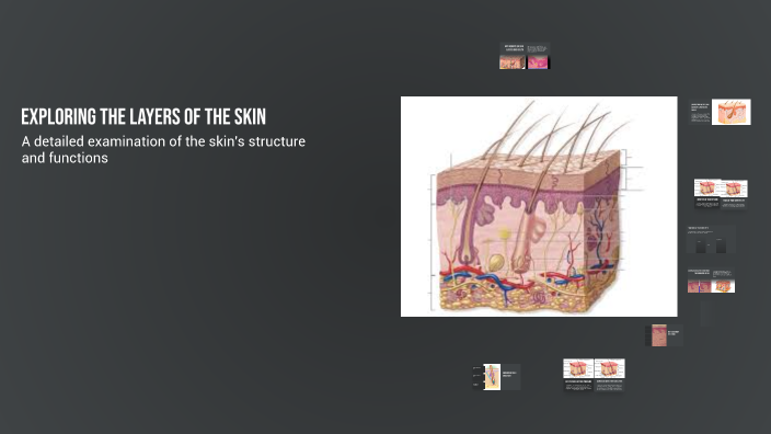 Exploring the Layers of the Skin by Tegan Vo on Prezi
