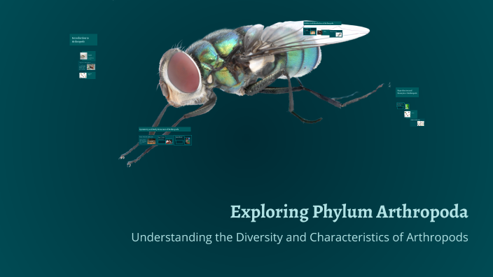 Exploring Phylum Arthropoda by Sara Koza on Prezi