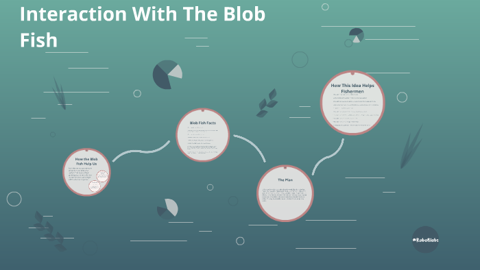 What does a human impact do in the blob fish's extinction.