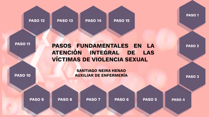 Pasos Fundamentales En La AtenciÓn Integral De Las VÍctimas De Violencia Sexual By Santiago 8926