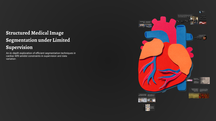 Structured Medical Image Segmentation under Limited Supervision by ...