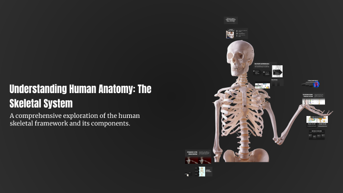 Understanding Human Anatomy: The Skeletal System by Kyle Waiver on Prezi