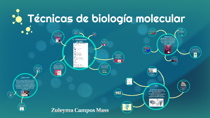 Técnicas De Biología Molecular By Zul M On Prezi