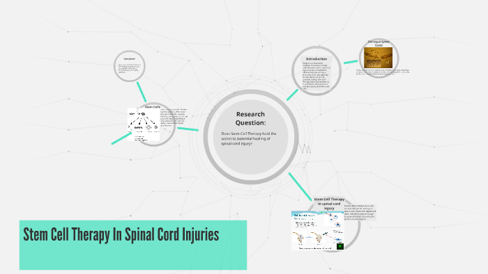Stem Cell Therapy In Spinal Cord Injuries by Sam Hayworth on Prezi