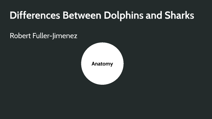 Differences between dolphins and sharks by robert fuller-jimenez on Prezi