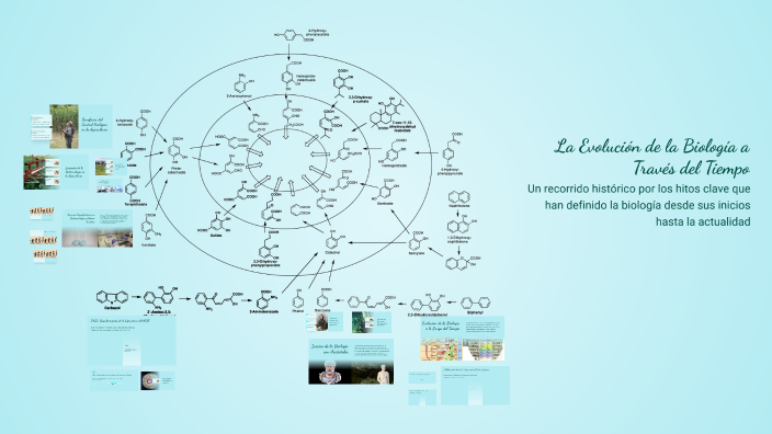 La Evolución de la Biología a Través del Tiempo by Anderson Anacona14 ...