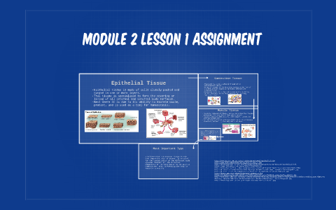 Module 2 Lesson 1 Assignment by Adam Bonfield on Prezi