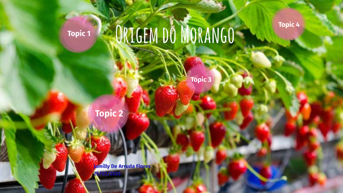 A Origem do Morango by JAMILLY DE ARRUDA FLORES on Prezi