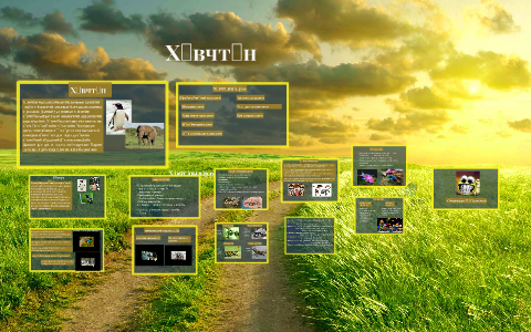 Хөвчтөн by bujilham tamir on Prezi