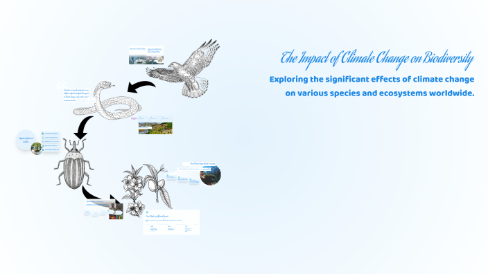 The Impact of Climate Change on Biodiversity by rosa maria berrocal ...