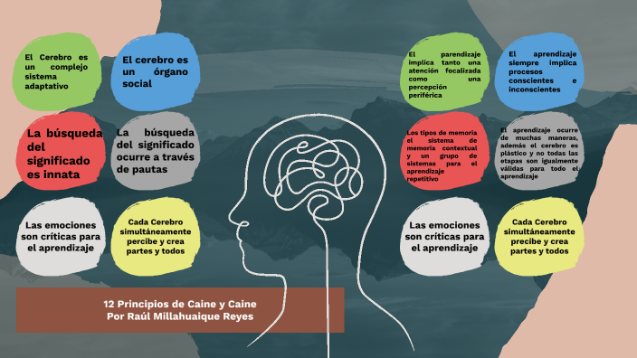 Principios de Caine y Caine by Raúl Millahuaique on Prezi