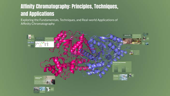 Affinity Chromatography: Principles, Techniques, and Applications by ...