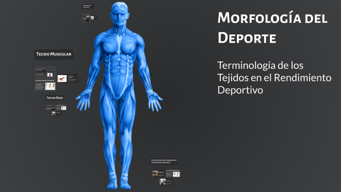 Morfolog a Del Deporte By Laura Gomez On Prezi Morfolog a Del Deporte By Laura Gomez On Prezi