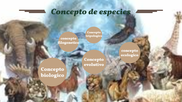 Concepto de las especies by Juan Sebastián Gil Marin on Prezi