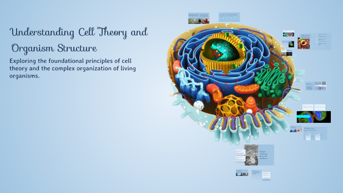 Understanding Cell Theory and Organism Structure by Brad Counts on Prezi