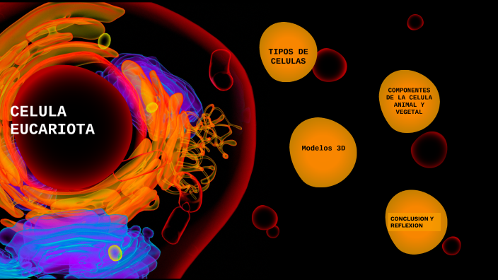 Modelo tridimensional by Fernanda Ortiz on Prezi Next